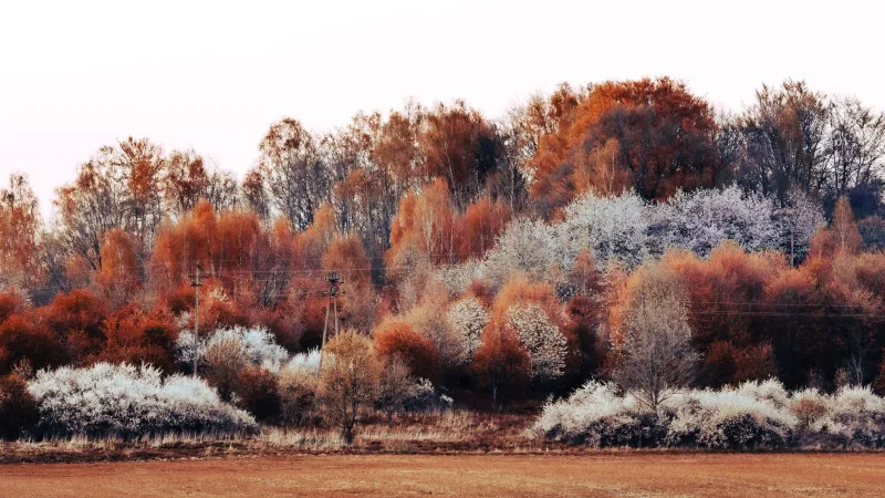 Four Seasons, One Prescription: Understanding How Seasonal Changes Affect Your Synthroid Therapy